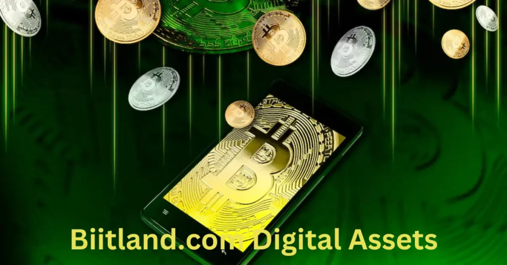 Everything You Need to Know About Biitland.Com Digital Assets