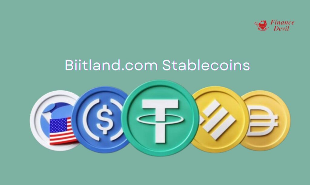 Everything You Need to Know About Biitland.Com Digital Assets